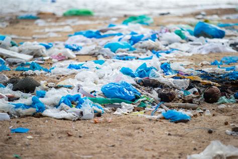 Impact Of Plastic Bags On Environment Introduction at Ruth Leet blog