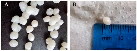Synthesis and Dye Adsorption Dynamics of Chitosan ...