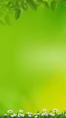 Simple And Green Wallpaper by Simple Green Background In 2020 Studio Background Images Simple And Green Wallpaper