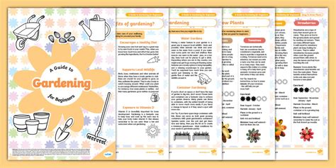 A Guide to Gardening for Beginners
