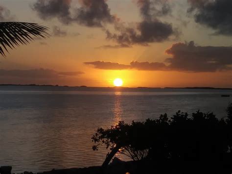 BONEFISH BELLA VISTA (Great Exuma, Bahamas) - Lodging Reviews & Photos ...