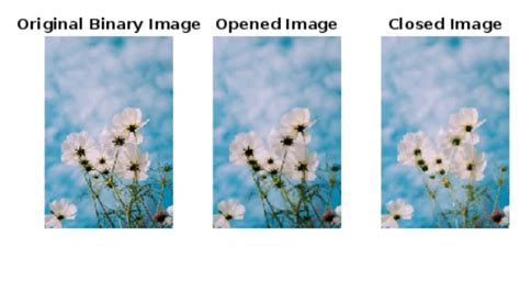 Morphometric Analysis Program MATLAB Script 的图像结果