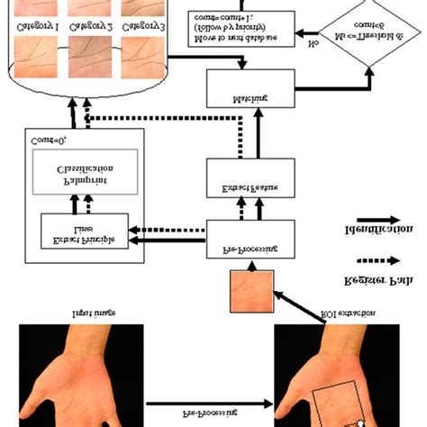 Palm Print Identification System 的图像结果