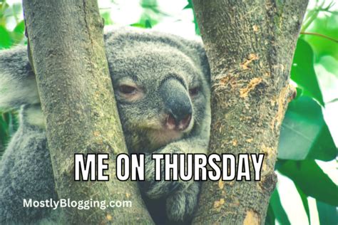 200+ Funny Thursday Quotes to Brighten Your Week