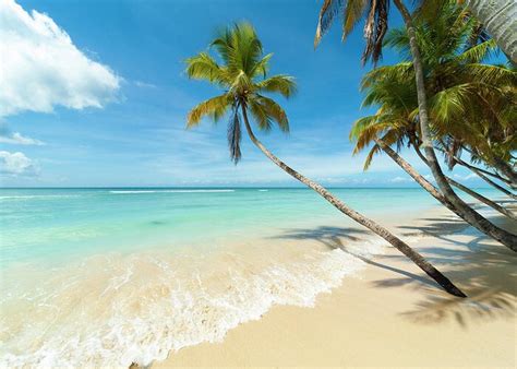Image result for Beach Python Code