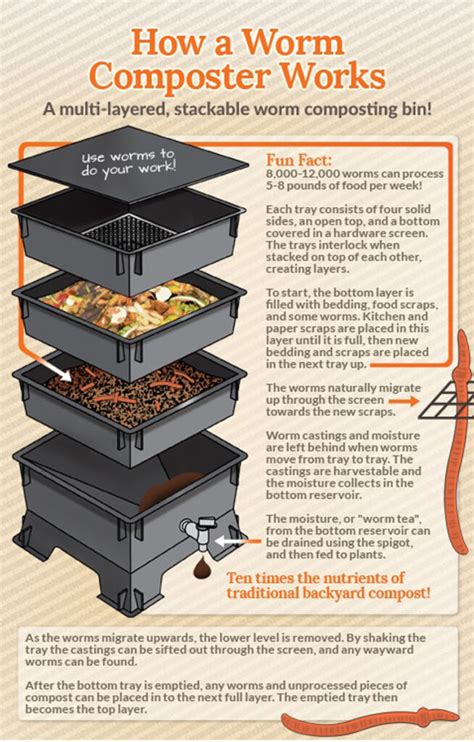 Compost Bin DIY 的图像结果