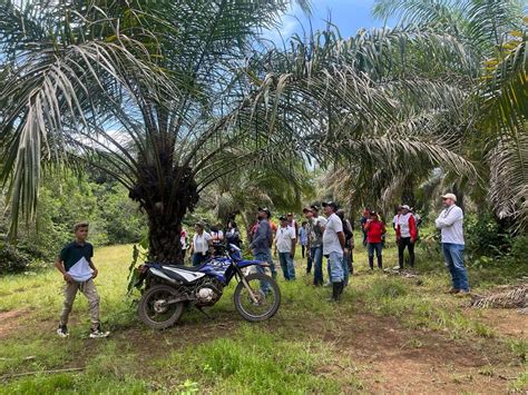 Expo Malocas 2025, Malocas, Villavicencio, 29 January 2025 | AllEvents