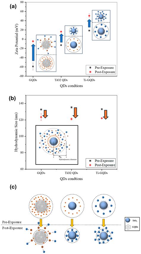 Infrared FEL-Induced Alteration of Zeta Potential in Electrochemically ...