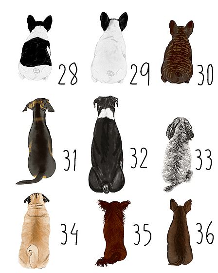 prettysucks / Category: Female