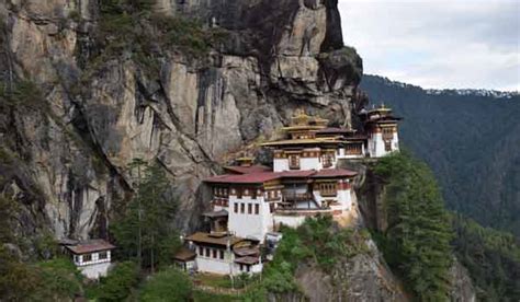 Image result for Bhutan Python Coders