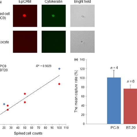 Image result for Cell Sorting Microfluidic Chip
