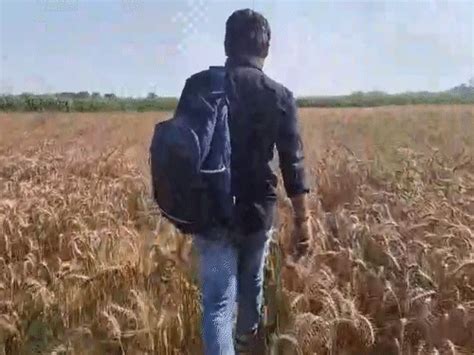 Bihar villagers buy weapons with PM Awas money for safety: Fear of ...