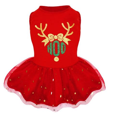 dogs in xmas outfits