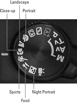 How to Use Canon T7 的图像结果