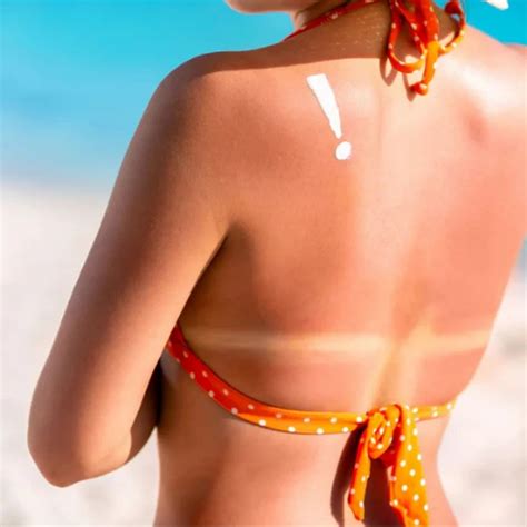 Image result for Cytotoxicity Testing