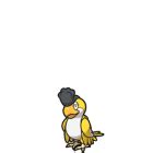 Image result for 3D CPU Python
