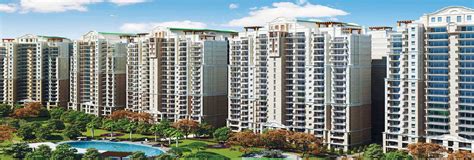 DLF The Camellias 2 Sector 54 - Homes For Sale In Gurgaon