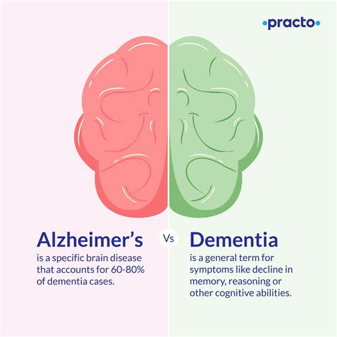 Difference Between Dementia And Alzheimers