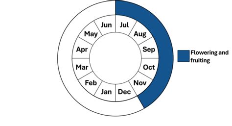 Northern Gama-grass | Mass.gov