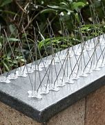 Image result for spikes