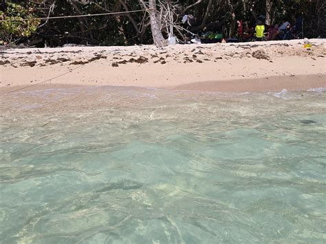 MAKO TOURS BEQUIA (2026) All You Need to Know BEFORE Going (with Photos)