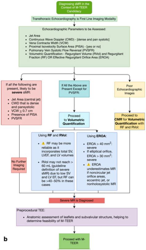 Diagnosis and Diagnostic Challenges of Secondary Mitral Regurgitation ...