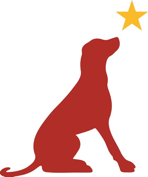 Adopt Dog CT | Dog Rescue Hartford CT | Dog Star Rescue