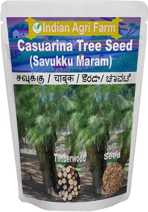 IAgriFarm Casuarina equisetifolia-Australian pine seeds-Cholla ...