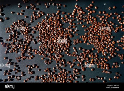 Image result for Java Coffee Beans