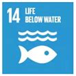 The Impacts of Plastic Waste from Personal Protective Equipment Used ...