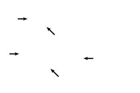 Image result for Modiolus in Cochlea