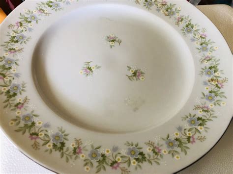 Johann Haviland Bavaria Germany Fine China at Carolyn Cotter blog