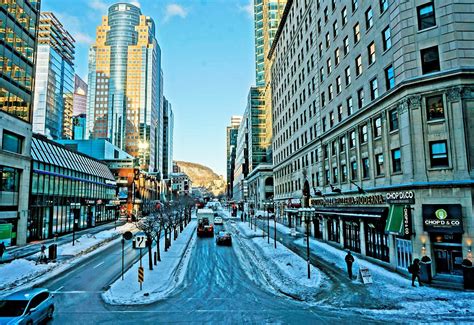 AVENUE MCGILL COLLEGE (2025) All You Need to Know BEFORE You Go (with ...