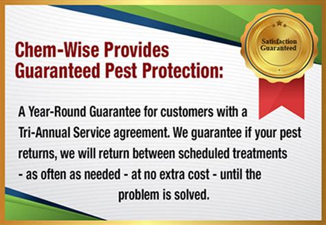 Ant Control & Exterminators Chicago | Chem-Wise | 3,500+ Reviews