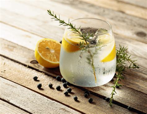 Gin: History and Production
