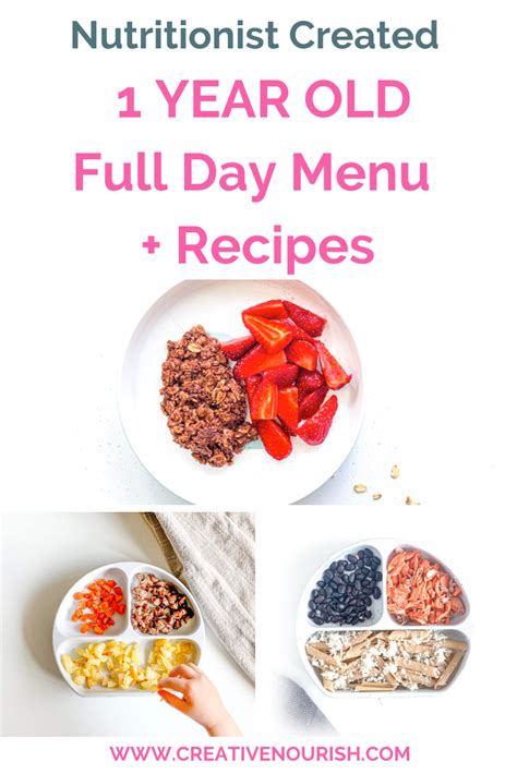 healthy recipes for 1 year old