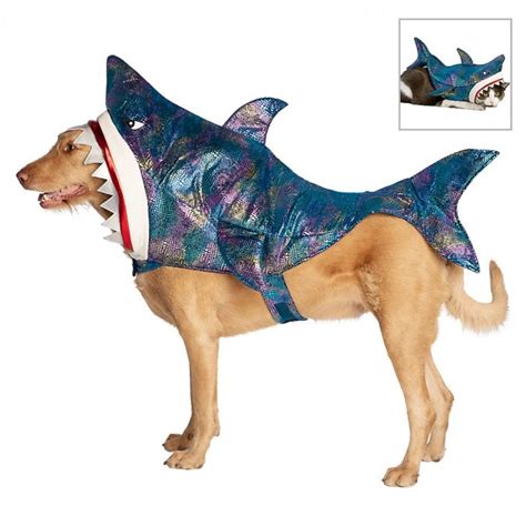 40 Best Dog Halloween Costumes (2021) — Cute Dog Costumes for Halloween ...