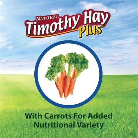 Kaytee Timothy Hay Plus, Carrots, 24-Ounce, Standard Packagi Buy, Best ...