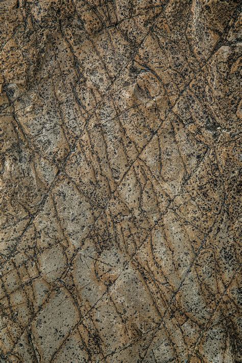 Image result for Screen Background Color