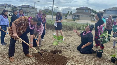 How Philippine Gardening Culture Inspired Efforts To Promote Food ...