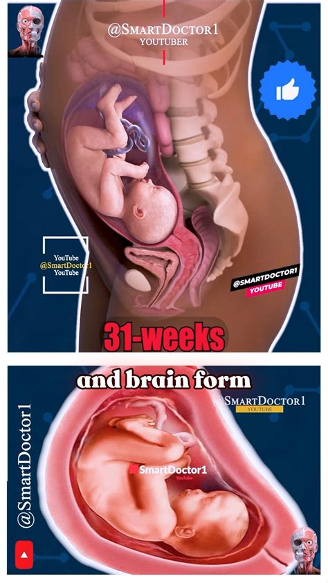 Smart Doctor (@smart.doctor1) • Instagram photos and videos