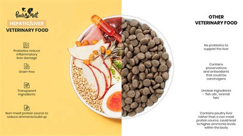 What's the best dog food for liver disease? | Pooch & Mutt