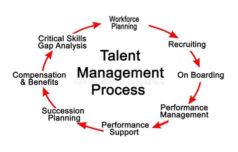 Talent Management 的图像结果