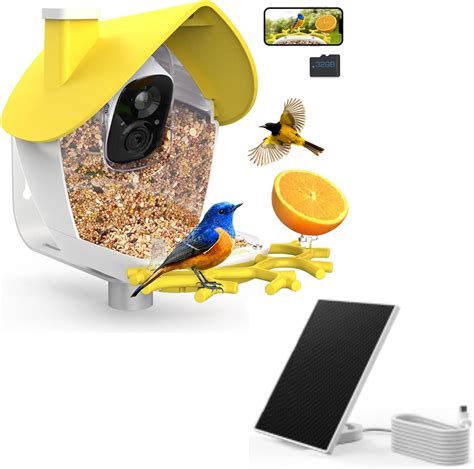 Amazon.com : birdsnap® MON - Smart Bird Feeder with Camera & Solar ...
