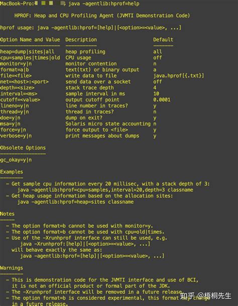 Java Hprof 的图像结果