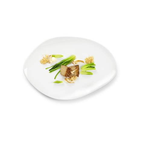 Image result for Second Course Plates