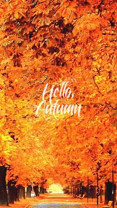 Iphone Cozy Autumn Wallpapers by Iphone Orange Fall Nature Autumn Warm Seasons Cozy Leaves Iphone Cozy Autumn Wallpapers