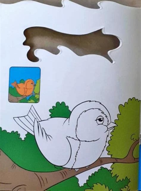 See and Colour - Birds – Books and You