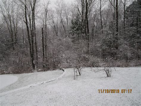 PHOTOS: Snowfall in western Massachusetts | WWLP
