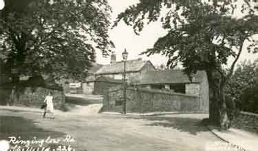 Searching Picture Sheffield